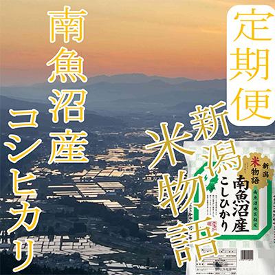 ふるさと納税 南魚沼市 【毎月定期便】【米物語※10Kg】南魚沼産コシヒカリ全12回 |  | 01