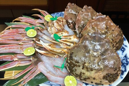 【訳あり！！幻のズワイ蟹】　京丹後産　活間人蟹　鮮度抜群、活きたままお届け！！ 800g級（足1本落ち）×1杯