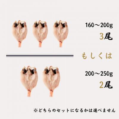 ふるさと納税 浜田市 のどぐろ一夜干し個包装2〜3枚「中〜大型160〜250gサイズ」 |  | 01