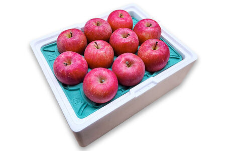 【26年5月クール便発送】りんご ふじ【良品】約3kg【CA貯蔵】キタエアップル