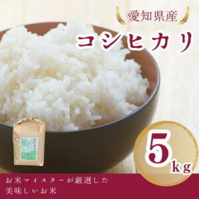 ふるさと納税 美浜町 愛知県産 コシヒカリ 5kg 愛知県 美浜町