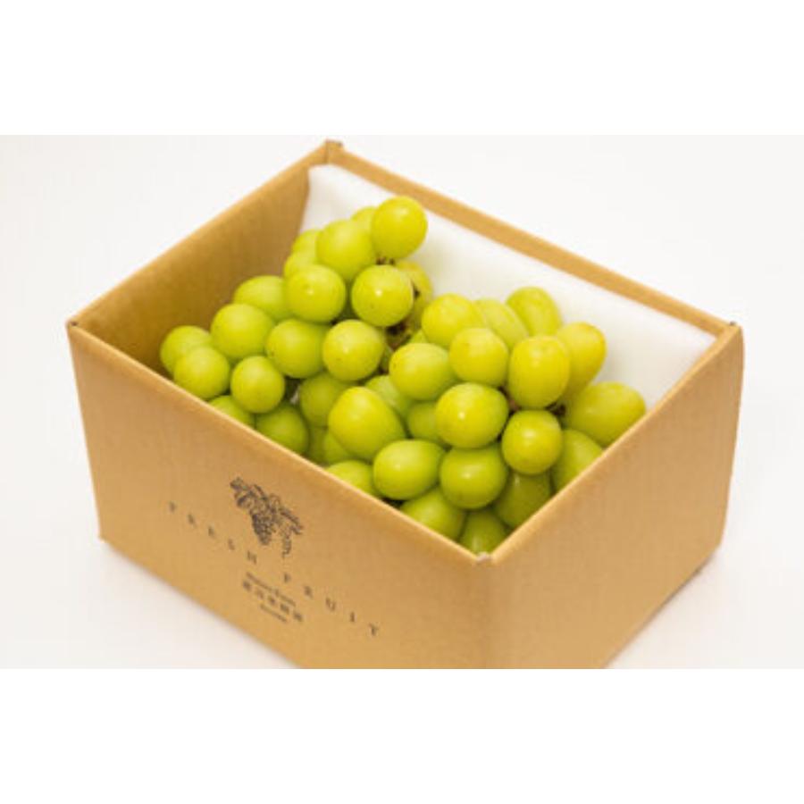 ご自宅用シャインマスカット２房1kg