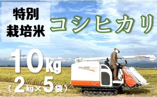 
米蔵いいの特別栽培米コシヒカリ10kg（2kg×5袋）（令和5年産または令和6年産新米予約）
