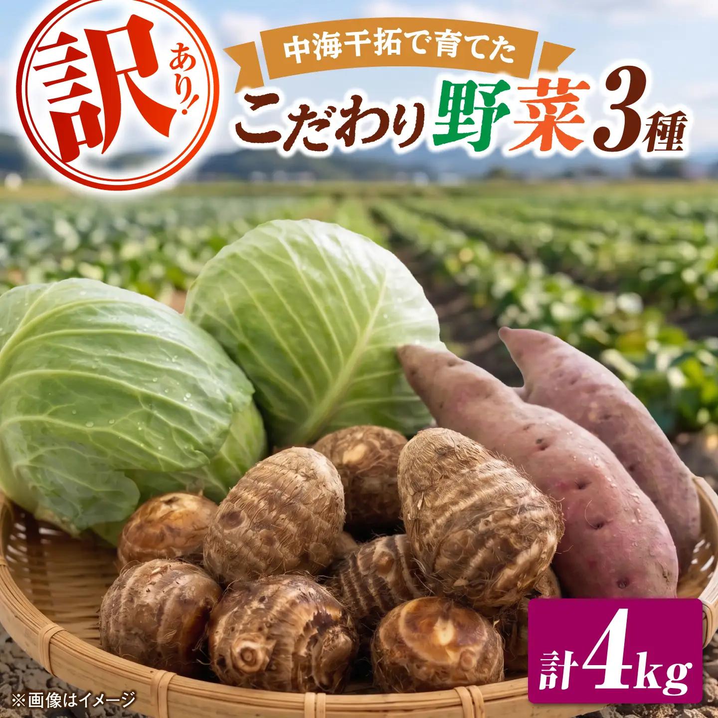 【先行予約】【2026年11月上旬順次発送】【訳あり】こだわり野菜3種（さつまいも・里芋・キャベツ）詰合せ 計4kg 島根県松江市/フジキコーポレーション株式会社[ALDS030]