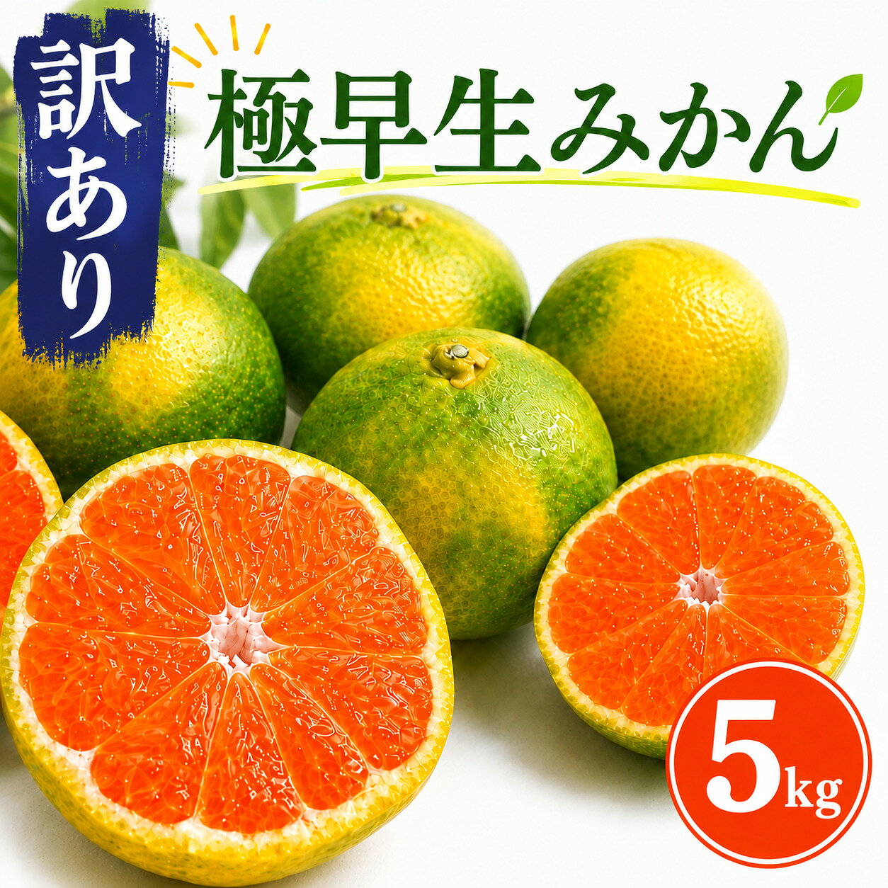 【ふるさと納税】 【先行予約】 【訳あり】 極早生みかん 5kg フルーツ 果物 柑橘系 みかん ミカン 傷あり 不揃い ご家庭用 数量限定 送料無料 ＜9月中旬より発送＞ rk050