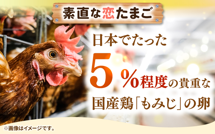 【全2回定期便】特選 素直な恋たまご 50個 《壱岐市》【しまのたまご屋さん】 [JAP022] 卵 たまご 鶏卵 玉子 ギフト 国産 卵かけご飯 たまごかけご飯 のし 定期便 [JAP022]
