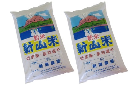 ◆令和5年産米◆新山米(ななつぼし)5kg×2袋 10kg 隔月6回お届け