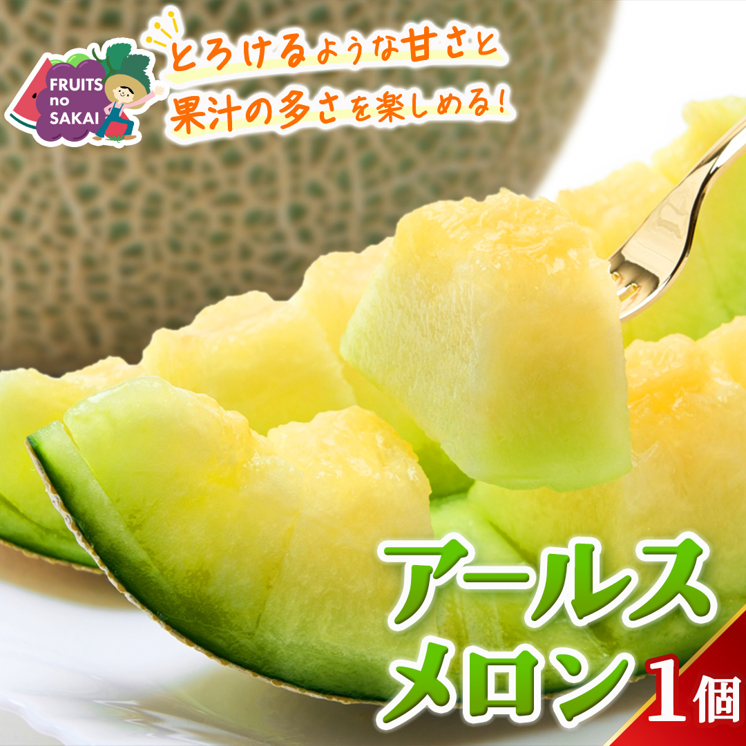 アールスメロン 1玉 メロン ギフト 高糖度 甘い 美味しい フルーツ 誕生日 プレゼント ギフト 贈り物 父の日 母の日 1個 [FC33-NT]