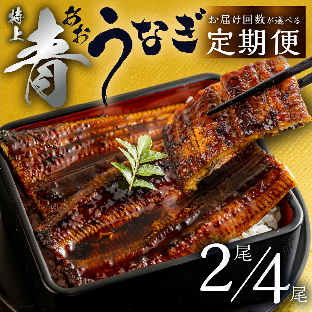 【ふるさと納税】 幻の青うなぎ 蒲焼 定期便 【高評価★4.81】 回数が選べる 3回 6回 12回 お届け 定期便 2尾 4尾 タレ付き 山椒付き 毎月お届け 厳選 簡易包装 青鰻 ウナギ 鰻 蒲焼き 長蒲焼 最高級 土用丑の日 ギフト 冷凍 丑の日 簡単調理