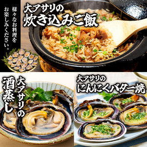 訳あり 大アサリ あさり アサリ 貝 魚貝 1kg 愛知県 南知多町