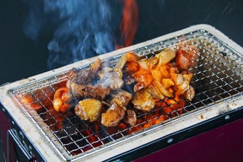 地鶏 鶏肉 とっておき地鶏 プレミアムセット オス メス 各1羽 1.7㎏以上 モモ肉 むね肉 ササミ肉  肉 鶏肉 鳥肉 とり肉 地鶏 焼き鳥 焼鳥 炭火焼鳥 炭火焼き もも肉 むね肉 ささみ 惣菜