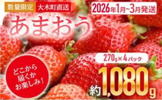 福岡産 あまおう いちご 270g×4パック 1080g