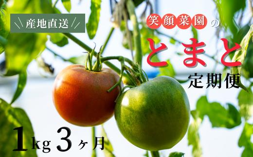 【定期便・全3回】笑顔菜園ひらまつの大玉トマト(トマト) 1kg（60サイズ）×3回 | 新鮮野菜 旬の野菜 ヘルシー 健康 高糖度   大容量 リコピン ミネラル 健康 おやつ ギフト 贈り物 北海道 上川郡[024-65]