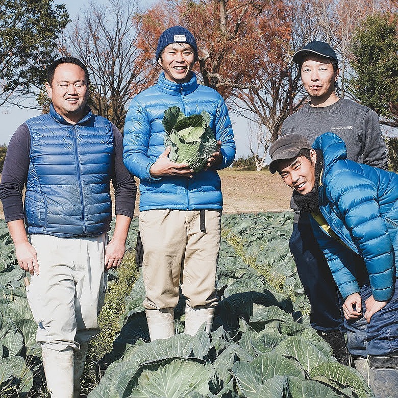 季節の泉州野菜 7種 おまかせセット ピクルスの素 1袋付き