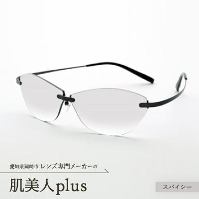 ふるさと納税 岡崎市 肌美人plus スパイシー