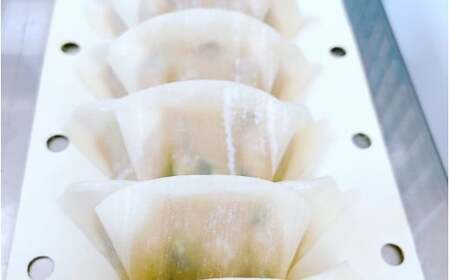 大西の梅餃子セット 50個入（25個入り×2パック） / 餃子 セット 食べ比べ 和歌山県 田辺市 ギョーザ 手作り 紀州南高梅 南高梅 宝梅使用 紀州うめぶた にんにく不使用 無添加 冷凍餃子 【g