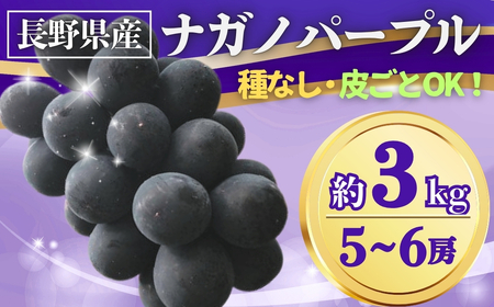 【2026年先行予約】ぶどう ナガノパープル 約3kg(5~6房)｜ ぶどう