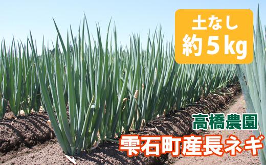 
            ＜令和６年産＞雫石町産 長ネギ約５kg（土なし）【高橋農園】/ 長ねぎ 野菜 ねぎ ネギ
          