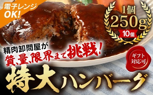 
                  【250ｇ×10個】精肉卸問屋が自信をもってお届けする特大ハンバーグ（デミグラスソース） 冷凍 電子レンジOK 調理済・T098-185
                