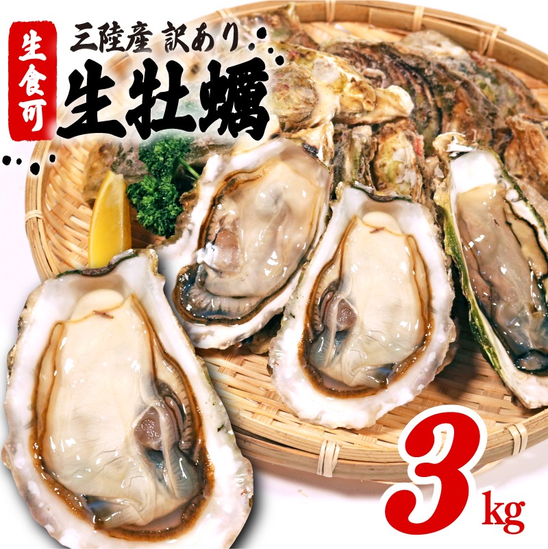 訳あり 生食 殻付き 牡蠣 3kg かき カキ 冷凍 岩手県産 殻付き 生食 訳あり わけあり 大きさ不揃い 不揃い 三陸 三陸産 株式会社國洋 岩手県 大船渡市 [koku010] 
