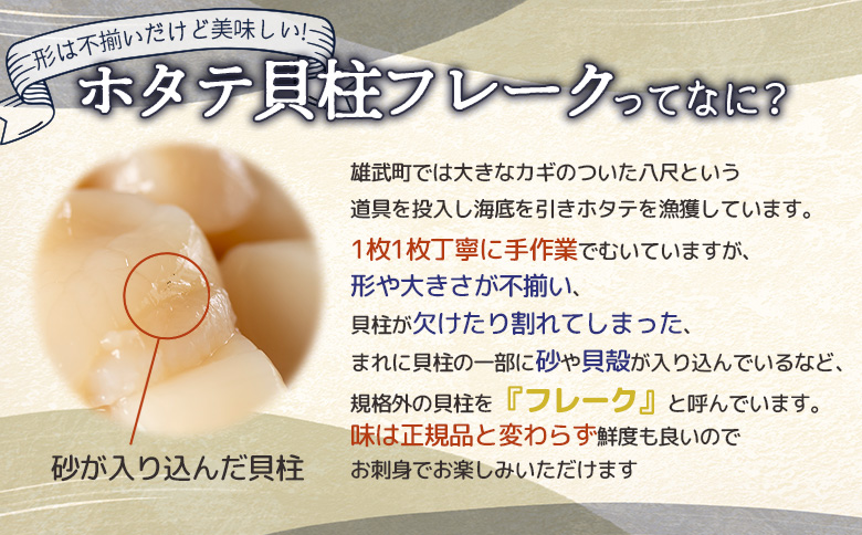 北海道雄武町産　ほたて貝柱(冷凍)Bフレーク 1kg[訳あり品]【1235601】