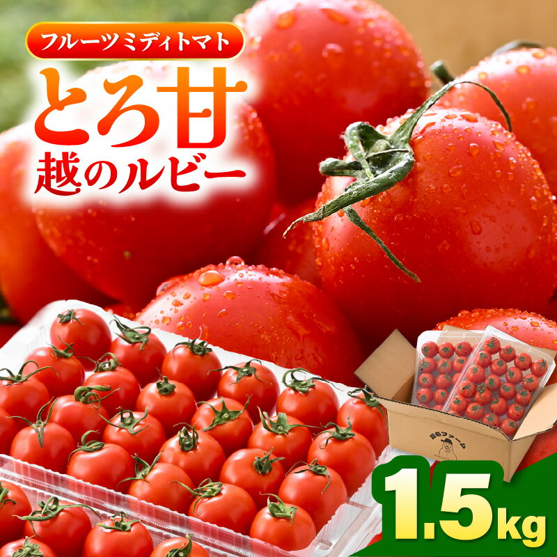 【ふるさと納税】 とろ甘 越のルビー 1.5kg 高糖度ミディトマト 【とまと トマト ミディトマト ブランド品種 野菜 生野菜 美容 健康 新鮮 産地直送 国産】