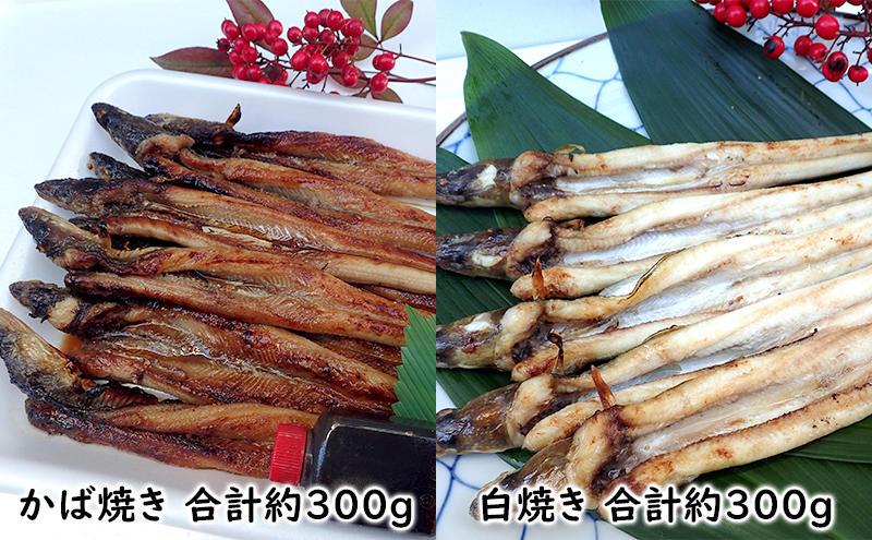 あなご 先行予約 山銀商店 白焼き ・ かば焼き あなご セット （合計約600g) 産地直送 穴子 魚介類 アナゴ 