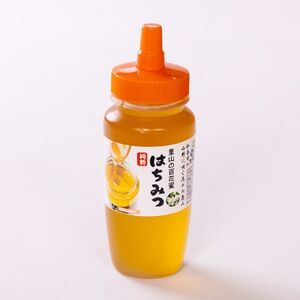 道の駅で大人気のハチミツ(250gノズル付きボトル　3本)【1657718】