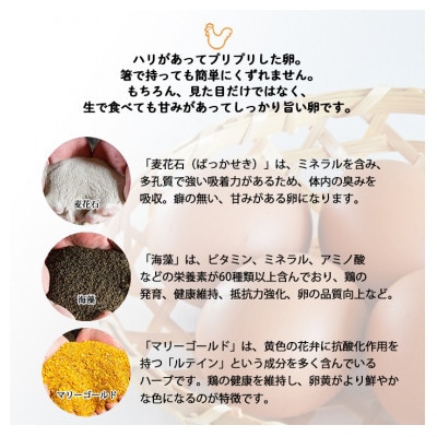 【毎月定期便】計180個【生みたて濃厚】谷川養鶏の美人たまご30ヶ入り　※サイズ指定できません全6回【配送不可地域：離島】
