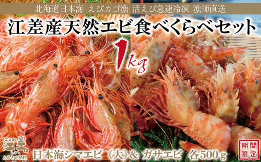 【！！先行予約！！＼12月中旬以降、順次出荷予定／】北海道産 天然えび食べくらべセット　計1kg　濃厚な甘みの日本海シマエビ（大）500g＆飽きのこない旨みのガサエビ500g　国産　江差近海産　天然もの　エビかご漁師直送　最良品厳選　生食可　お刺身　天ぷら　エビフライ　海老