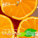 【ふるさと納税】 【 先行予約 】 伊予柑 いよかん 約 5kg 愛媛 興居島 柑橘 糖度 別名 宮内伊予柑