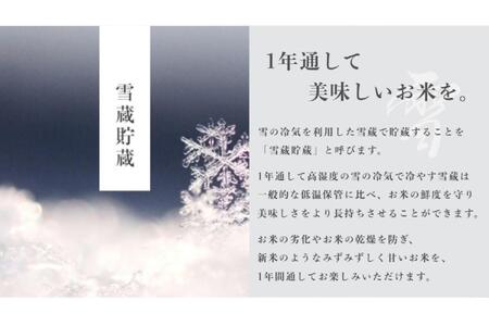 ≪ 令和7年産 新米 予約 ≫【 定期便 】 5kg ×3ヶ月《 雪蔵貯蔵米 》 金賞受賞 魚沼産コシヒカリ 雪と技　農薬5割減・化学肥料5割減栽培