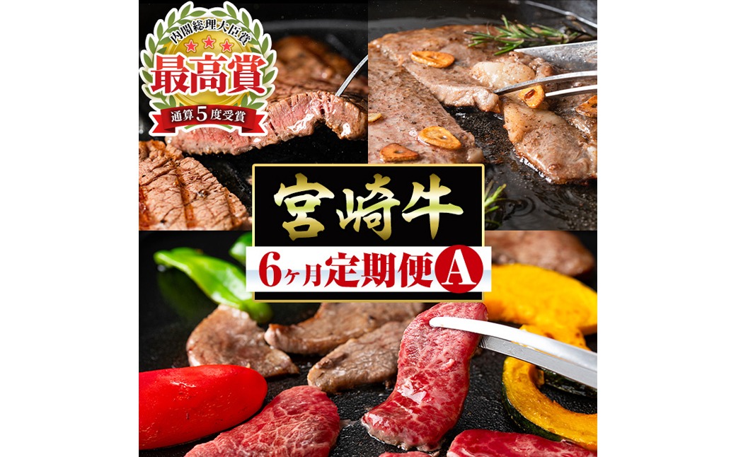 【定期便・全6回】宮崎牛定期便＜Aセット・焼肉＞ お楽しみ便 牛肉 国産 定期 ヒレ肉 モモ ウデ ロース バラ 宮崎県産 黒毛和牛 焼肉 ステーキ 【ミヤチク】【R-100】