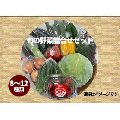 ふるさと納税 竹田市 旬の野菜詰合せセット