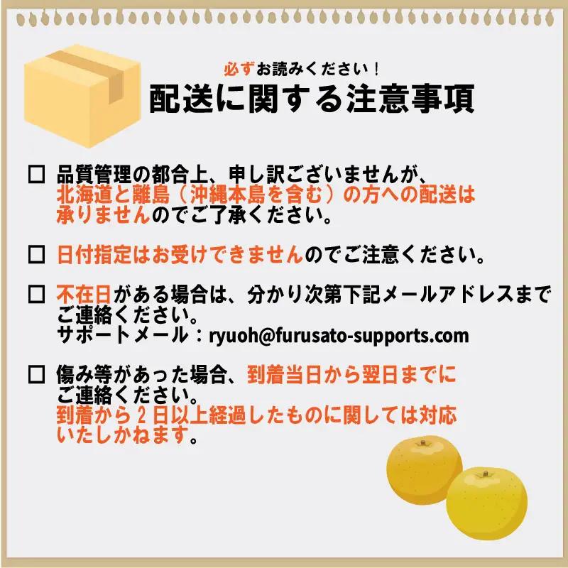 【期間限定】 梨  5kg 品種 おまかせ 8月下旬～9月下旬発送 岡喜農園 令和8年産 数量限定 なし ナシ 幸水 豊水 2026年産 フルーツ 果実 くだもの