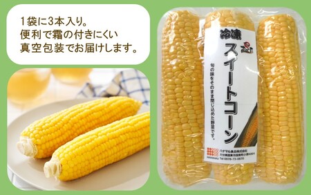 2514R_【数量限定】美味しさそのまま！冷凍スイートコーン 30本