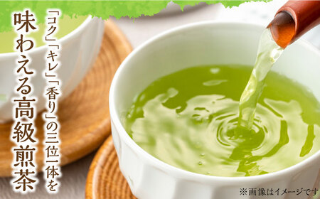 【新茶】星野村の八女茶 高級煎茶　桃山 80g[ABDD065]