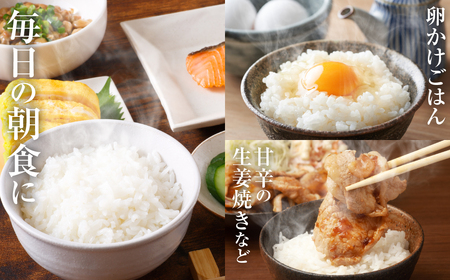 【令和7年産】 熊本県産 森のくまさん 5kg (5kg×1袋) オリジナルパッケージ 米 お米 精米 白米 ごはん ご飯 熊本