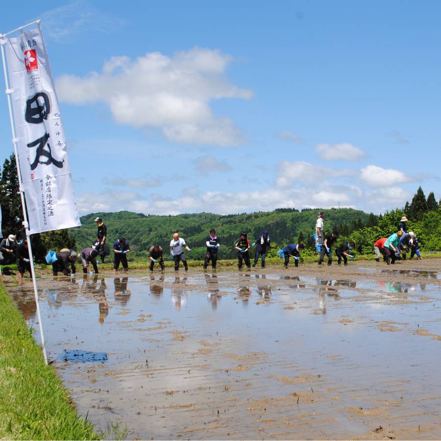 ＜高の井酒造＞たかの井飲み比べセットTNSー720