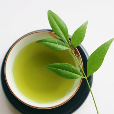 ふるさと納税 川崎町 【毎月定期便】八女茶【上】煎茶セット　100g×2袋(川崎町)全12回 |  | 03