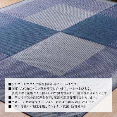 ふるさと納税 八代市 い草を使って織り上げたラグ『DXモーニング』191cm×191cm:ネイビー_022-6490 |  | 02