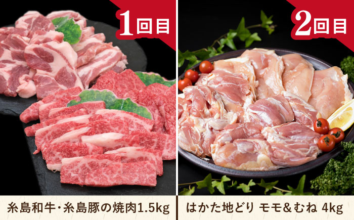 【全12回定期便】肉のお楽しみ定期便 食べ比べ セット ( 博多和牛 糸島和牛 糸島豚 はかた地どり イノシシ ウインナー シャトーブリアン ステーキ ハム ソーセージ ハンバーグ ) 糸島市 [AA