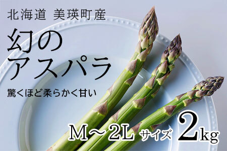 【令和9年産先行予約】アスパラガス M～2Lサイズ 2kg 美瑛町幻のアスパラ 本山農場 ラスノーブル グリーンアスパラ  [022-48]
