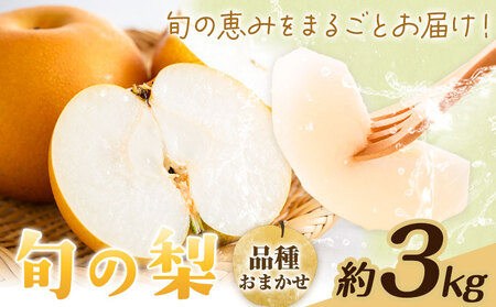 【先行予約】旬の梨 品種おまかせ 約3kg 日本フルーツ株式会社《2027年8月上旬-10月上旬頃出荷》熊本県 菊池市 梨 なし 豊水 秋月 新高 和梨 熊本県産