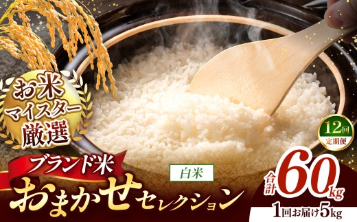 【 令和7年産 】おまかせ セレクション 【定期便12回】熊本県産 白米  ＜ひのひかり / 森のくまさん / くまさんの輝き ＞ 5kg  | 単一銘柄 米 単一米 お米 こめ 小分け 人気 コメ お米 5kg 10kg 15kg 20kg 25kg 30kg 定期便 3回 6回 12回 ブランド米 菊池川流域 家庭用 送料無料 熊本 くまもと 熊本県 和水 和水町 人気 ごはん