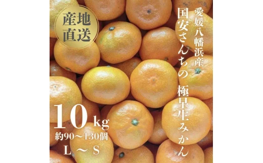 ＜創業85年 親子4代 愛媛みかん 一筋＞愛媛八幡浜産 極早生みかん 10kg＜F20-44＞【1594909】 YWTI039