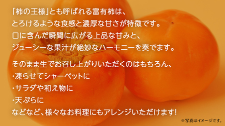 【 お歳暮 熨斗付き 】富有柿 約6kg 【2025年12月上旬発送開始】(茨城県共通返礼品：大子町) 果物 フルーツ 旬 季節限定 期間限定 贈答用 ギフト 贈り物