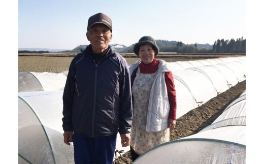 【先行予約】緒方さんちの極甘スイートコーン『イエロー』約7kg(15~20本)2026年発送分<1-43>野菜 やさい とうもろこし 宮崎県西都市