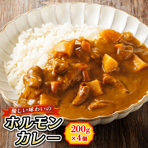 優しい味わいのホルモンカレー （200g×4箱） ｜ ホルモン 野菜 昆布 だし ダシ レトルト カレー レトルトカレー おもいやり 一人暮らし セット おかず レンジ レンジ調理 食品 常温 保存食 森谷食品 ご当地グルメ すぐ届く すぐ発送 10000円の品 1万円以下 2026年 年始発送 北海道 釧路町 釧路超 特産品