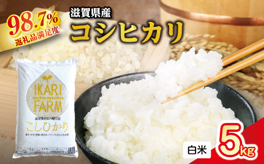 【新米】令和8年産 強い粘りと旨味！お米の王様「コシヒカリ」　白米　5kg【C029W1】（滋賀県　近江八幡市）